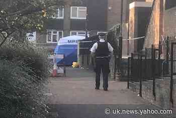 Islington stabbing: Teenager killed in &#39;senseless&#39; attack in north London named as Kamal Nuur