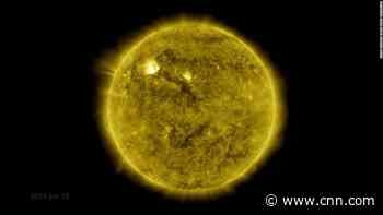The sun has started a new solar cycle, experts say