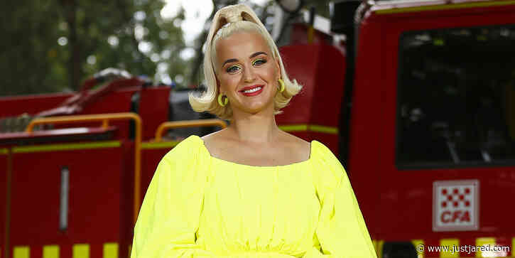 Katy Perry Gets Restraining Order Against Alleged Stalker