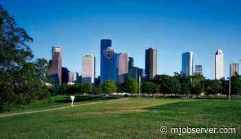 Houston Law Enforcement Can Now Differentiate Between Hemp and Marijuana - The DMO