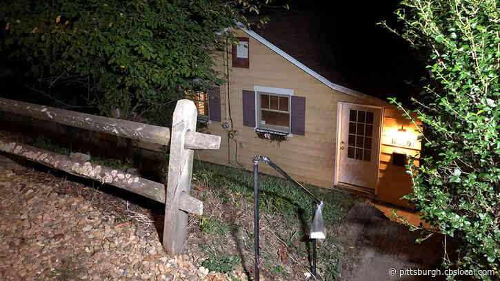 Police Break Up Suspected Dog Fighting Ring In Penn Hills