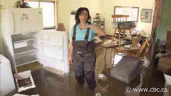 Grand Forks residents launch class action lawsuit alleging negligent logging caused 2018 floods