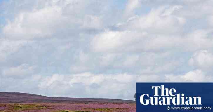 County diary: a perfect warm, windless morning on the fell tops | Country diary