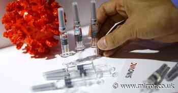 Coronavirus vaccine 'should be ready for public by November', China claims