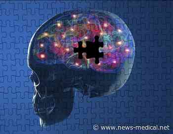Physical exercise protocol can mitigate the severity of Parkinson's disease