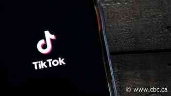 Why TikTok is at a crossroad and where it could go