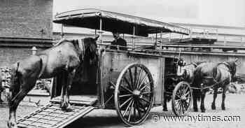 The Man Who Made Us Feel for the Animals