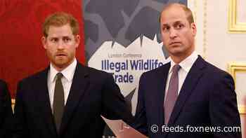 Prince William, Kate Middleton’s birthday post for Prince Harry leave royal fans divided