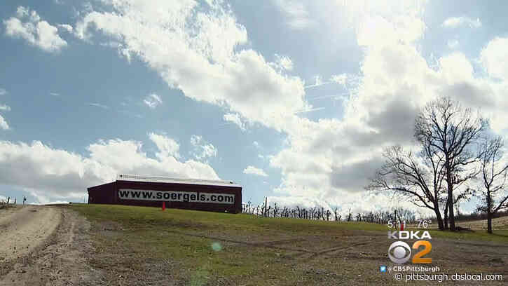 Orchards And Farms Finding Ways To Keep Fall Fun Available Throughout Pandemic