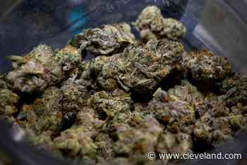 Number of patients buying Ohio medical marijuana up to 103,632 - cleveland.com