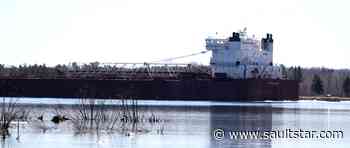 Iron ore shipments fall in 2020