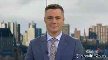 Plenty of grain already in the bin as harvest moving quickly this year