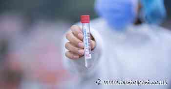 UK coronavirus Patient Zero found - the first person to catch Covid - Bristol Live