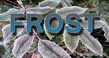 Cover Those Plants! Another Frost Advisory Issued