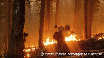 Waldbrände in Kalifornien: Experte schlägt Alarm - Gefährliches Wetter-Phänomen auch in Deutschland?