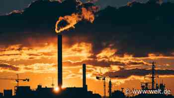 Plötzlich bekommt die Wirtschaft Angst vor der eigenen Klima-Courage