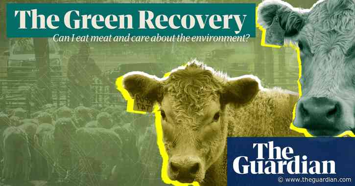 The Green Recovery: can I still eat meat if I care about the environment? – video