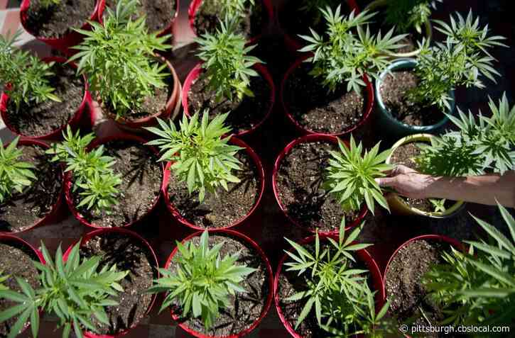Gov. Tom Wolf, Lt. Gov. John Fetterman Once Again Push For Recreational Marijuana Legalization