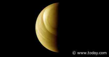 Astronomers see possible hints of life in Venus's clouds