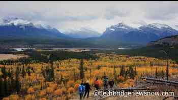 Province announces plans to improve provincial parks - Lethbridge News Now