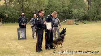 VIDEO: New K-9 officer introduced while another retires - Lethbridge News Now