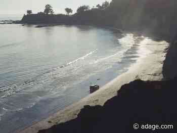 Watch the newest commercials on TV from Hulu, Chevy, Progressive and more