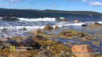 Windy day brings waves to Birchy Bay, Newfoundland - Yahoo News Canada