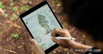 Preorder the 2020 iPad and iPad Air: Here's how to get Apple's new tablets     - CNET