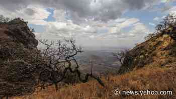Uganda jail break: More than 200 prisoners escape Moroto facility
