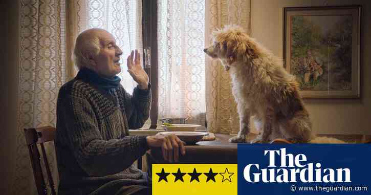 The Truffle Hunters review – strange and charming ode to rare dogs