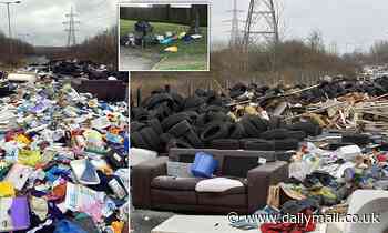 Blight of the fly-tippers: Illegal rubbish dumping has soared by 66% in just FIVE YEARS