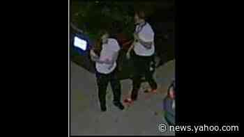 Why look for a purse thief? Because of what was in the purse. And it was in a police car