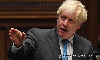Boris Johnson vows to review hospital restrictions so women can have partner present during birth