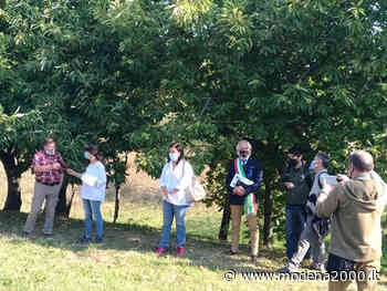 A Zocca apre Castanibus - Modena 2000