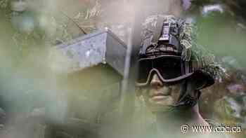 Canada's special forces seek outside intelligence advice