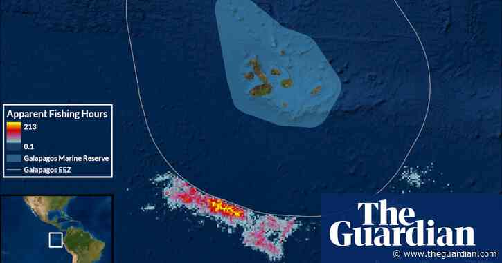 Chinese fishing armada plundered waters around Galápagos, data shows