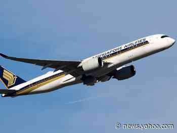 Singapore Airlines reportedly plans to offer sightseeing 'flights to nowhere' that take off and land at the same airport