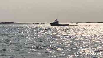 Aircraft, dozens of boats searching for teenagers in water off P.E.I.