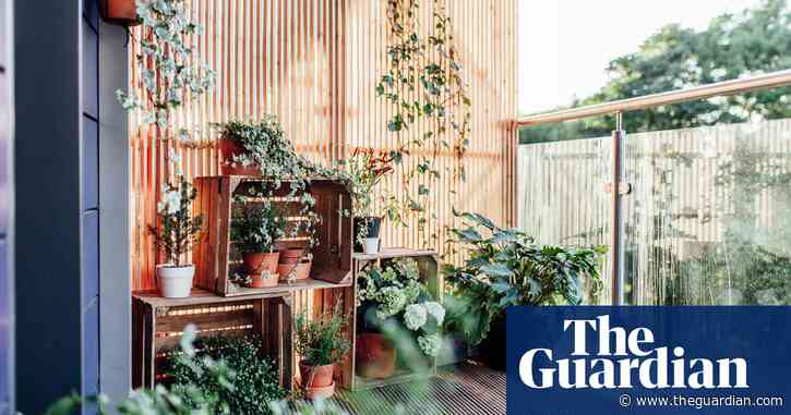 A room with a view and a washing line | Brief letters