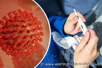 Coronavirus or the common cold? How to spot the difference