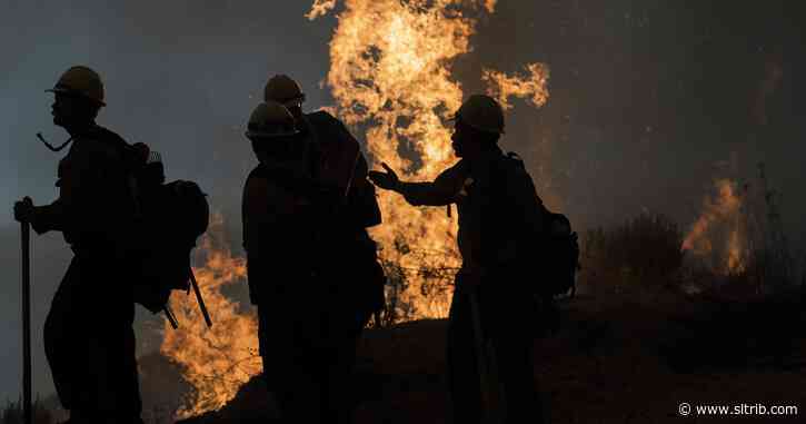 Malin Moench: The climate has already changed, and it’s ugly