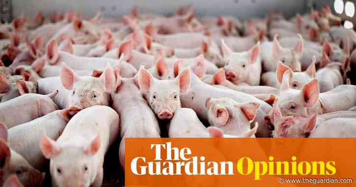 The Guardian view on animal welfare: keep it up | Editorial