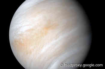 The Curious Question of Life on Venus