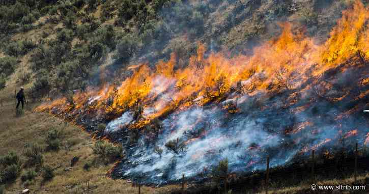 Utah sets record for human-caused fires, as forester asks for an extra $28 million to fight the blazes
