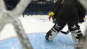 Saskatoon Stars settling into their new home at SaskTel Centre | Watch News Videos Online - Globalnews.ca