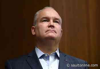 O’Toole pushes for rapid COVID-19 testing after family experiences long wait