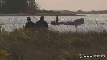 Search for missing teens in water off P.E.I. continues with aircraft, dozens of boats