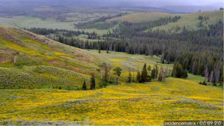 Michelob Ultra will pay someone $50,000 to explore national parks