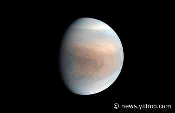 Russia&#39;s space agency chief declares Venus a &quot;Russian planet&quot;