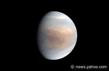 Russia's space agency chief declares Venus a "Russian planet"